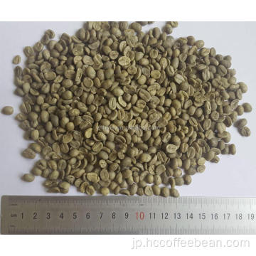 輸出グレードのアラビカグリーンコーヒー豆